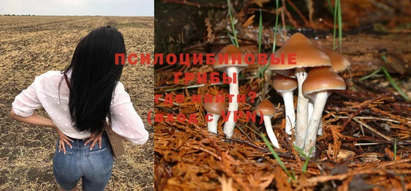 спайс Вяземский