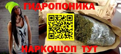 apvp Гай