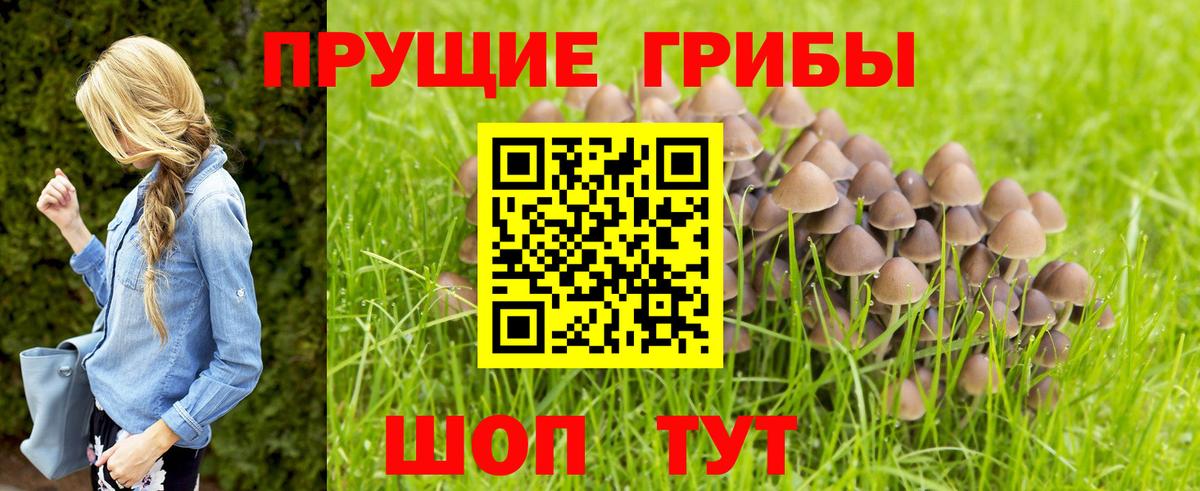 Наро-Фоминск  Галлюциногенные грибы Magic Shrooms  Вход с VPN 