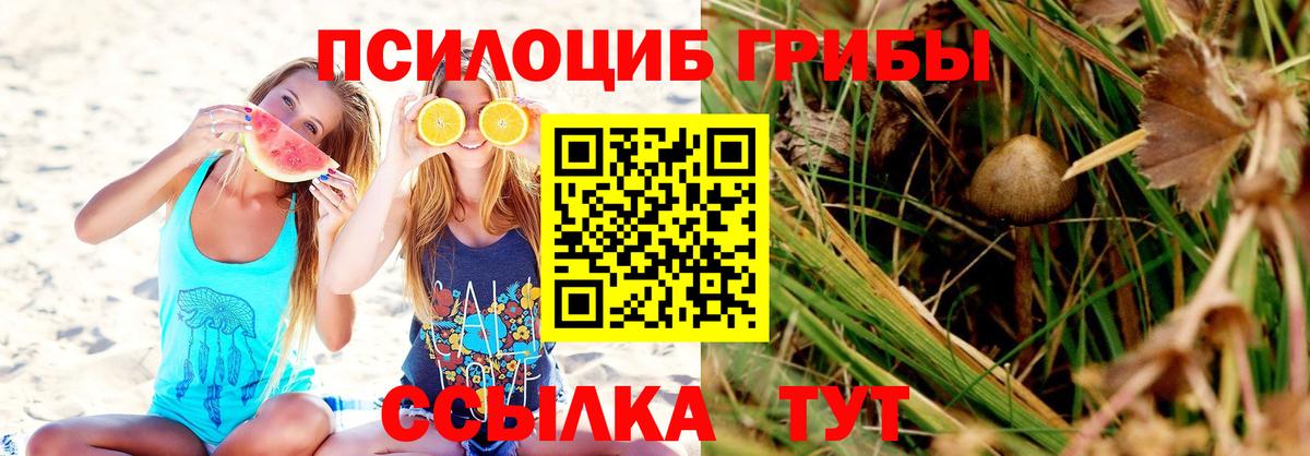 Псилоцибиновые грибы мухоморы  Наро-Фоминск 